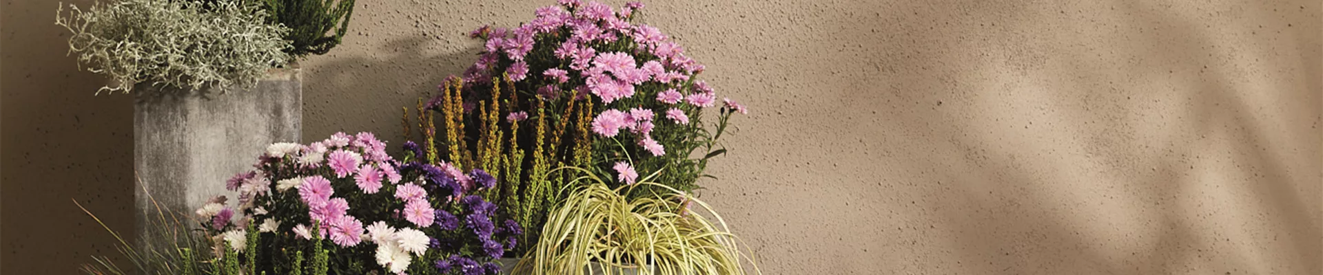 EIN KUNTERBUNTER HERBST!