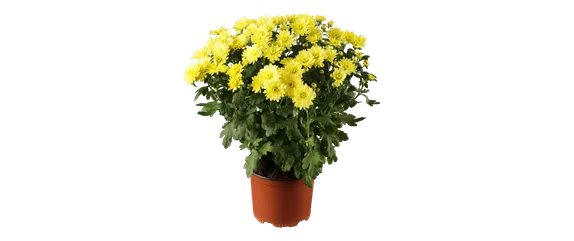 EIN KUNTERBUNTER HERBST! EIN KUNTERBUNTER HERBST!