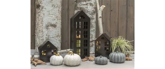 EIN KUNTERBUNTER HERBST! EIN KUNTERBUNTER HERBST!