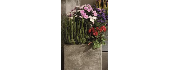 EIN KUNTERBUNTER HERBST! EIN KUNTERBUNTER HERBST!