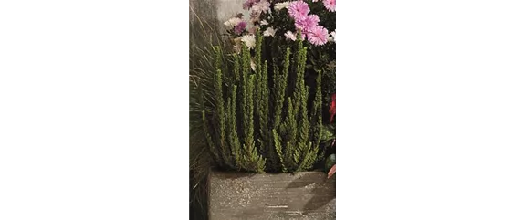 EIN KUNTERBUNTER HERBST! EIN KUNTERBUNTER HERBST!