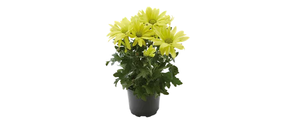 EIN KUNTERBUNTER HERBST! EIN KUNTERBUNTER HERBST!