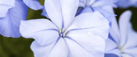 EIN KUNTERBUNTER HERBST! EIN KUNTERBUNTER HERBST!