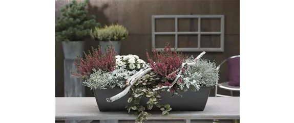 EIN KUNTERBUNTER HERBST! EIN KUNTERBUNTER HERBST!