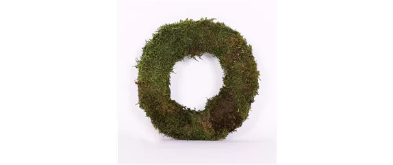 EIN KUNTERBUNTER HERBST! EIN KUNTERBUNTER HERBST!