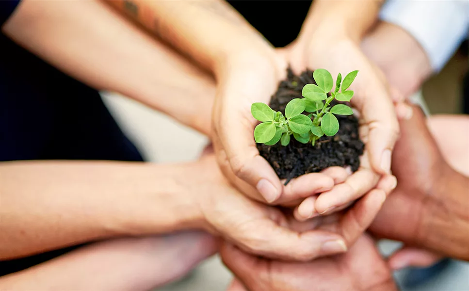 Stellenangebote - Neue Teamplayer gesucht!