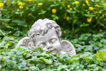 SCHöNER HERBSTLICHER GRABSCHMUCK!