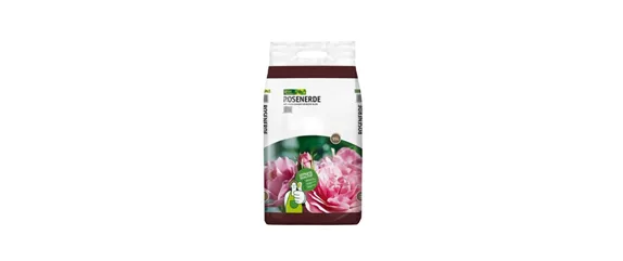 Pflanze des Monats Juli: ROSE