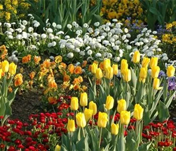 EINE TüTE VOLL FRüHLING!