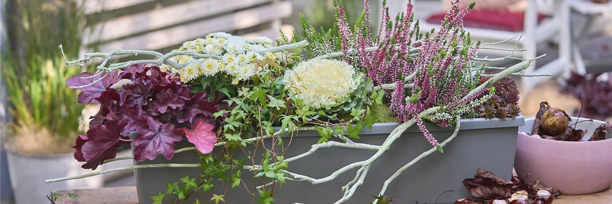 BUNT, BUNTER, HERBST!