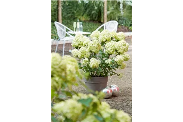 AUSZEIT IM GARTEN!