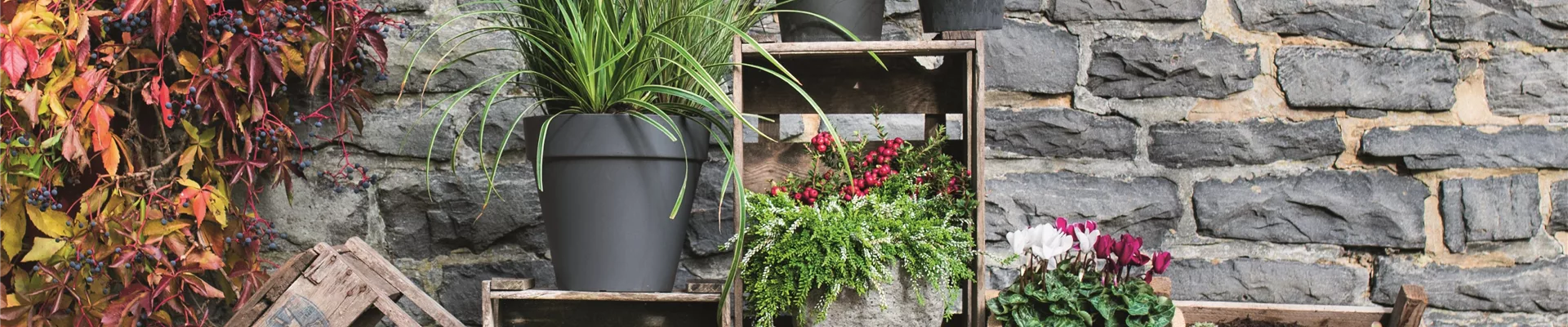 WIR SIND FEUER & FLAMME! 