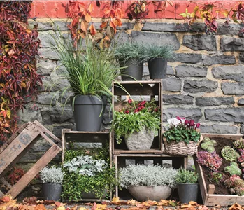 WIR SIND FEUER & FLAMME! 